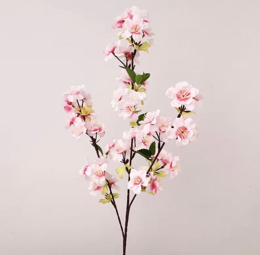 Cherry Blossom Stem