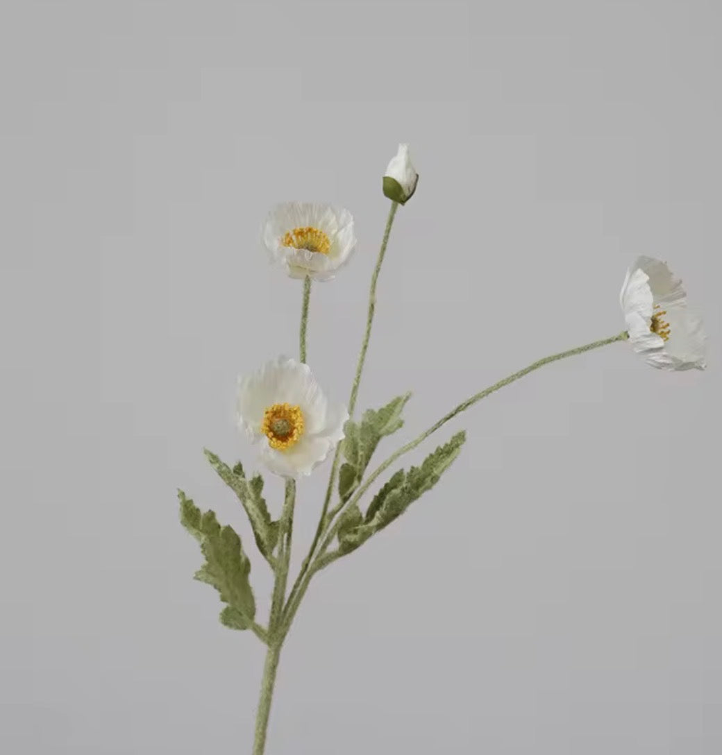Poppy Stem