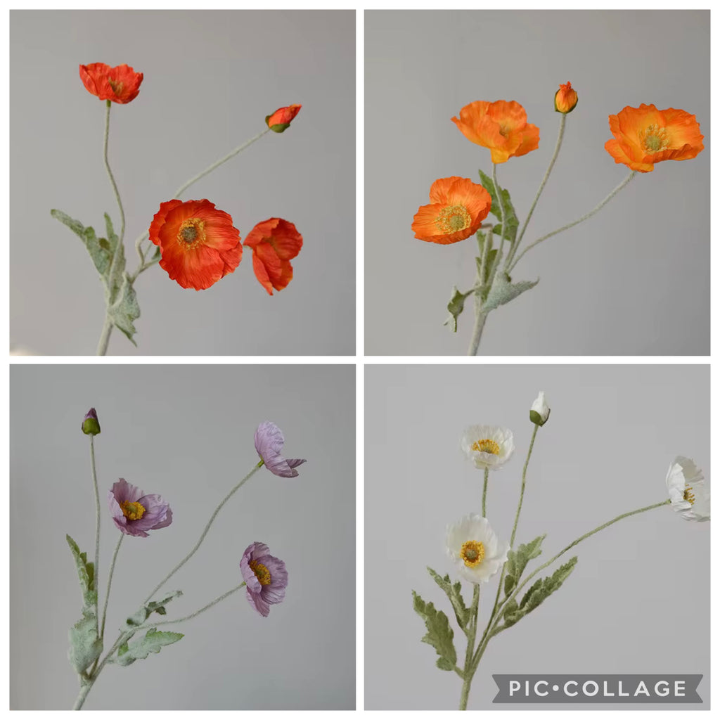 Poppy Stem