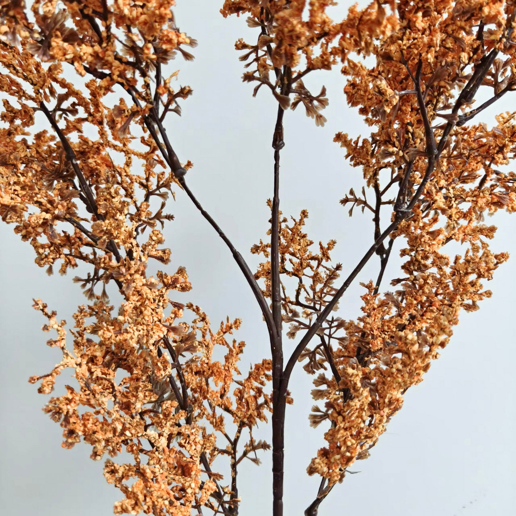 Fall Statice Stem