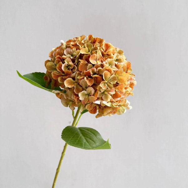 Fall Hydrangea (Yellow)