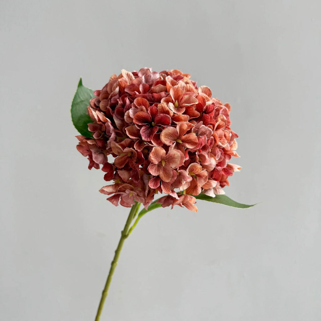 Fall Hydrangea (Red)
