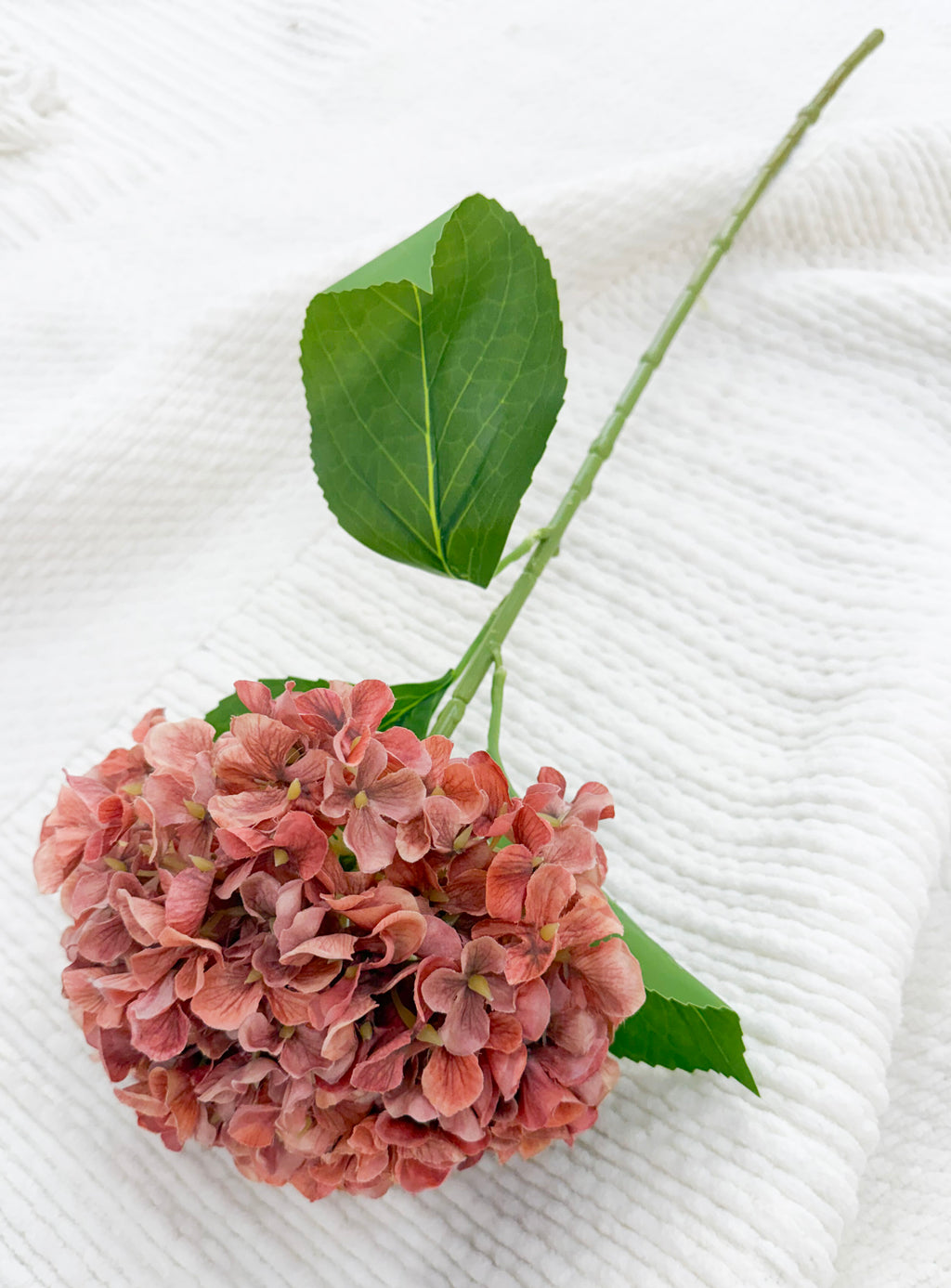 Fall Hydrangea (Red)