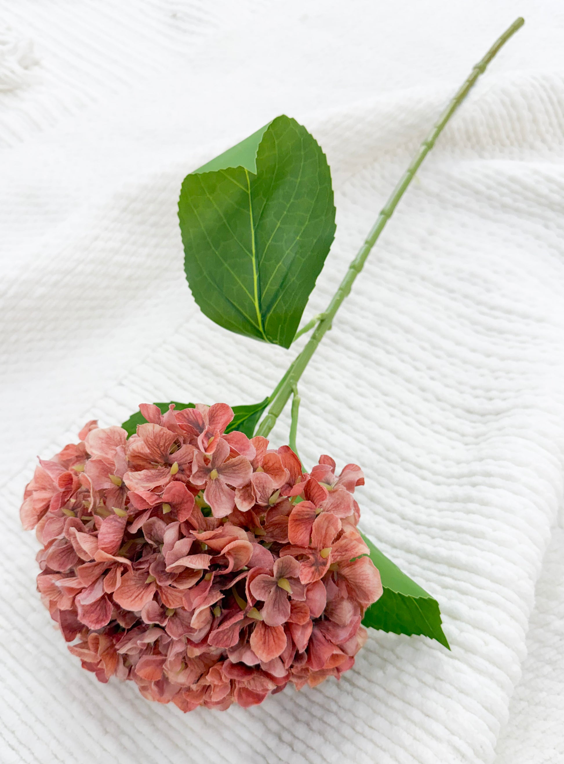 Fall Hydrangea (Red)