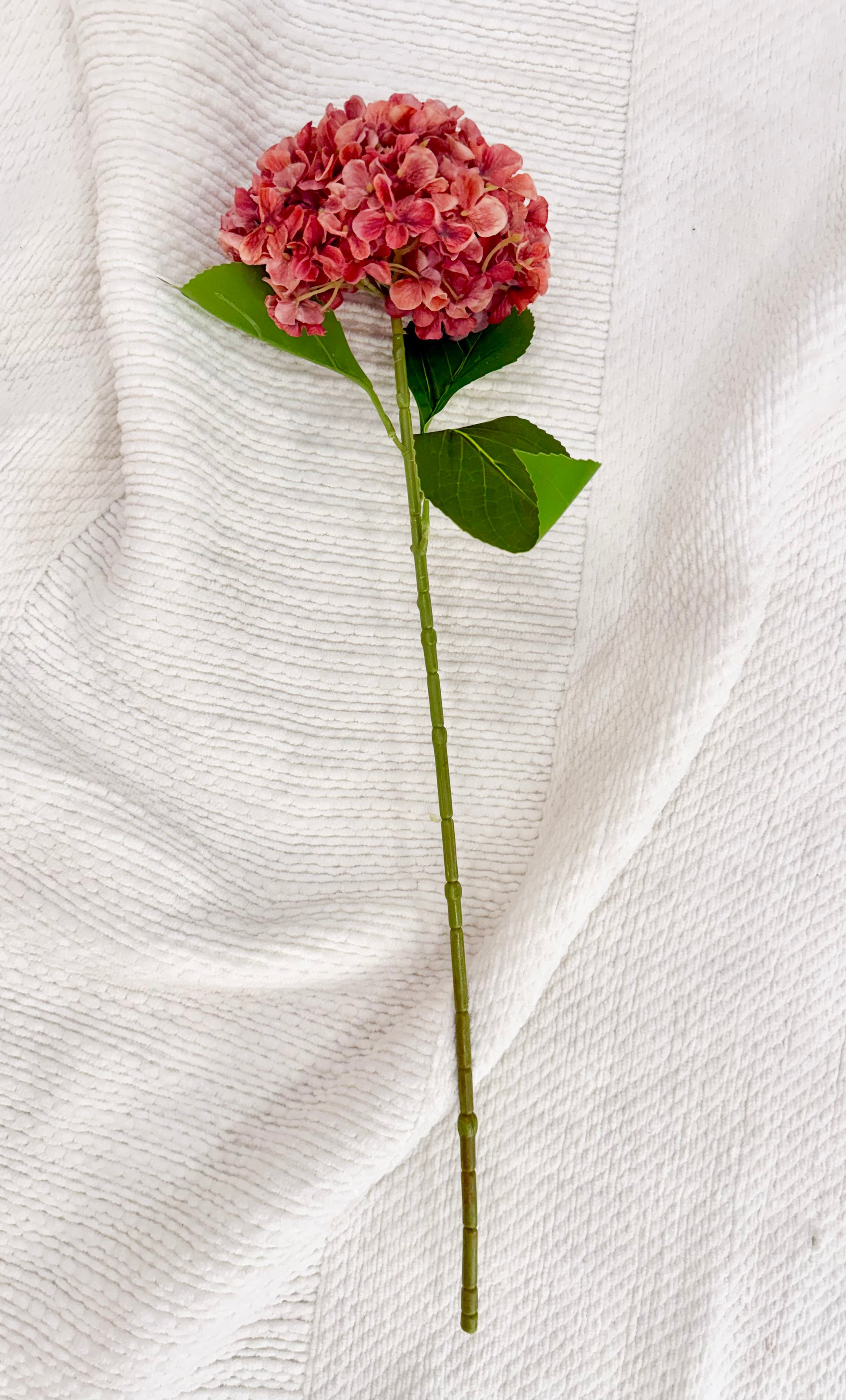 Fall Hydrangea (Red)