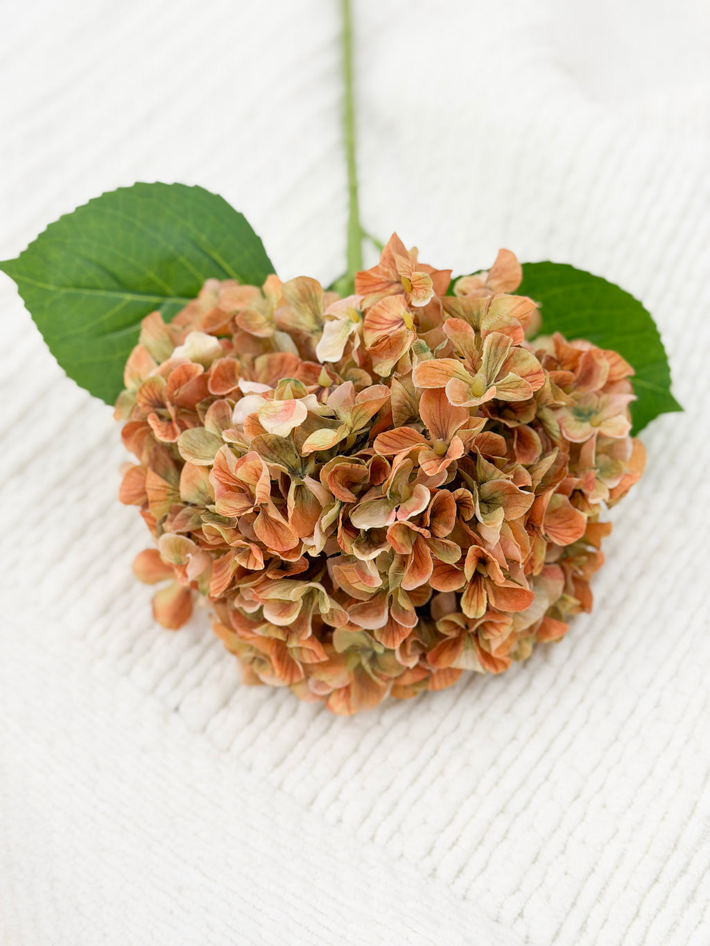 Fall Hydrangea (Yellow)