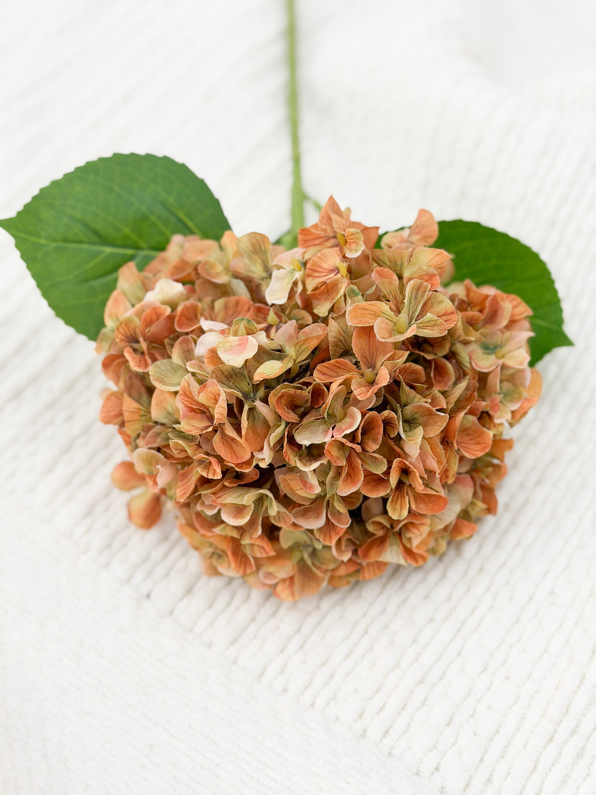 Fall Hydrangea (Yellow)