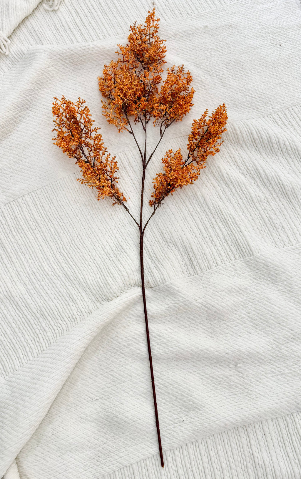 Fall Statice Stem