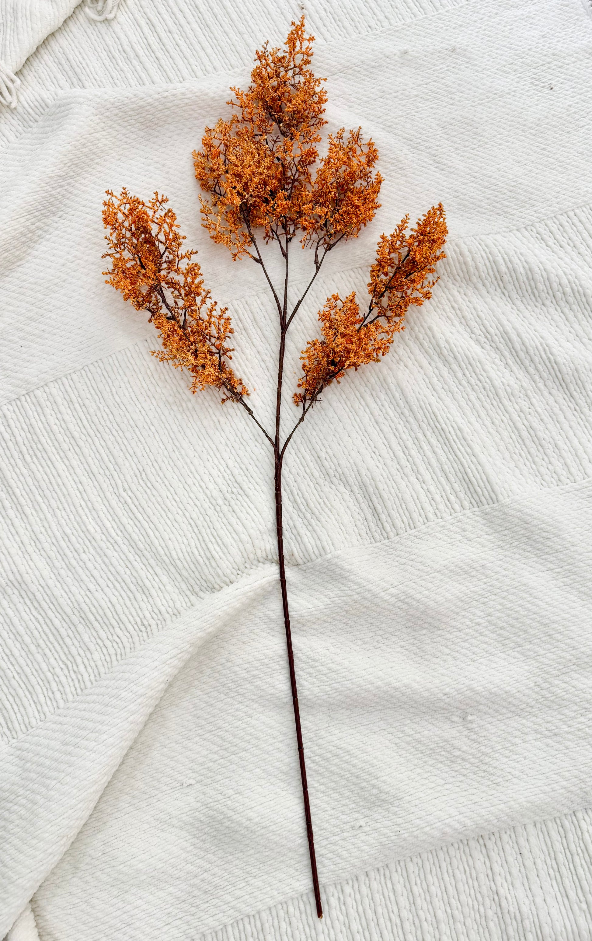 Fall Statice Stem