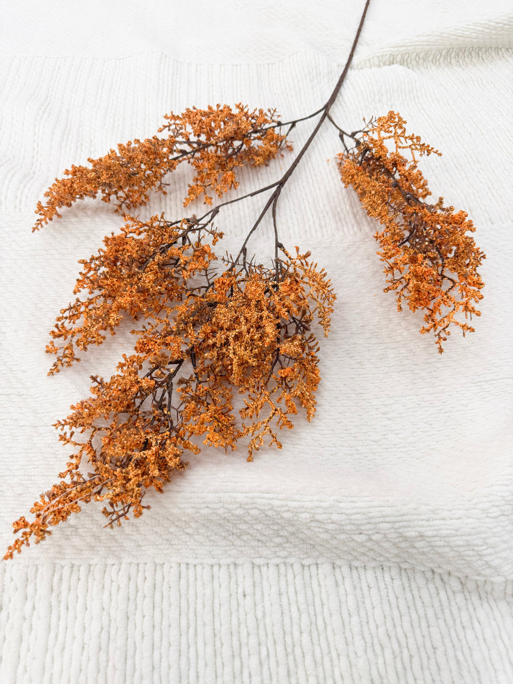 Fall Statice Stem