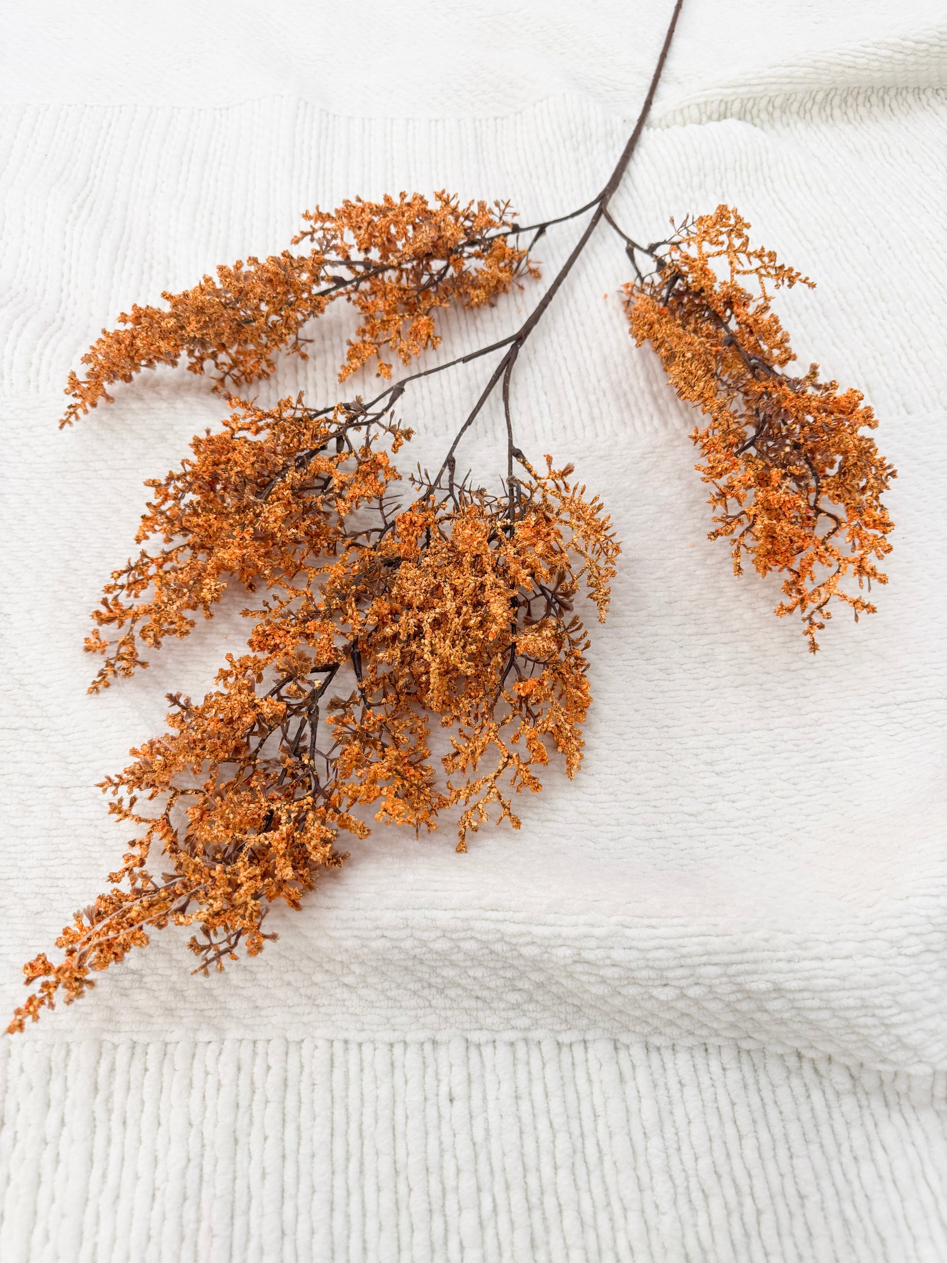 Fall Statice Stem