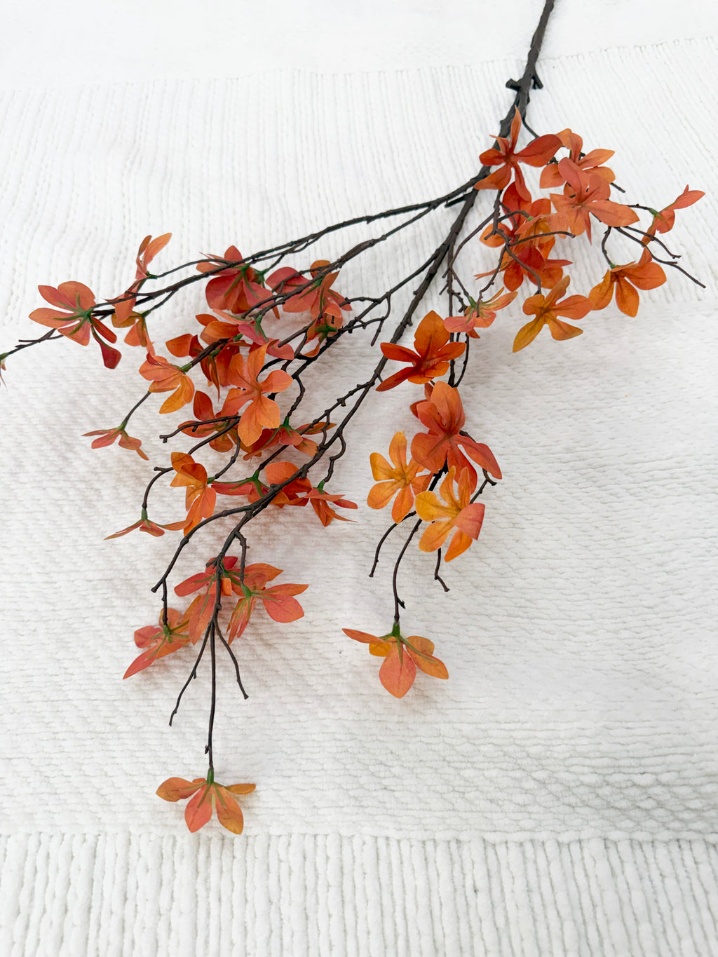 Autumn Star Blossom Stem
