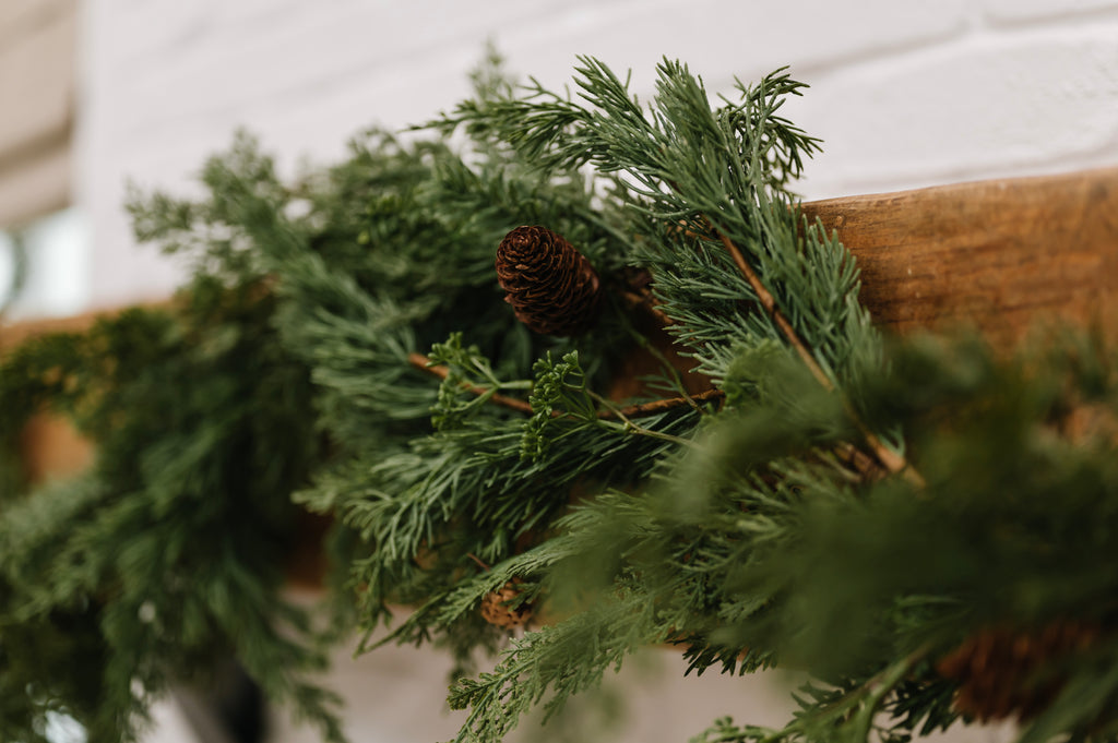 6' Spruce and Pine Christmas Garland