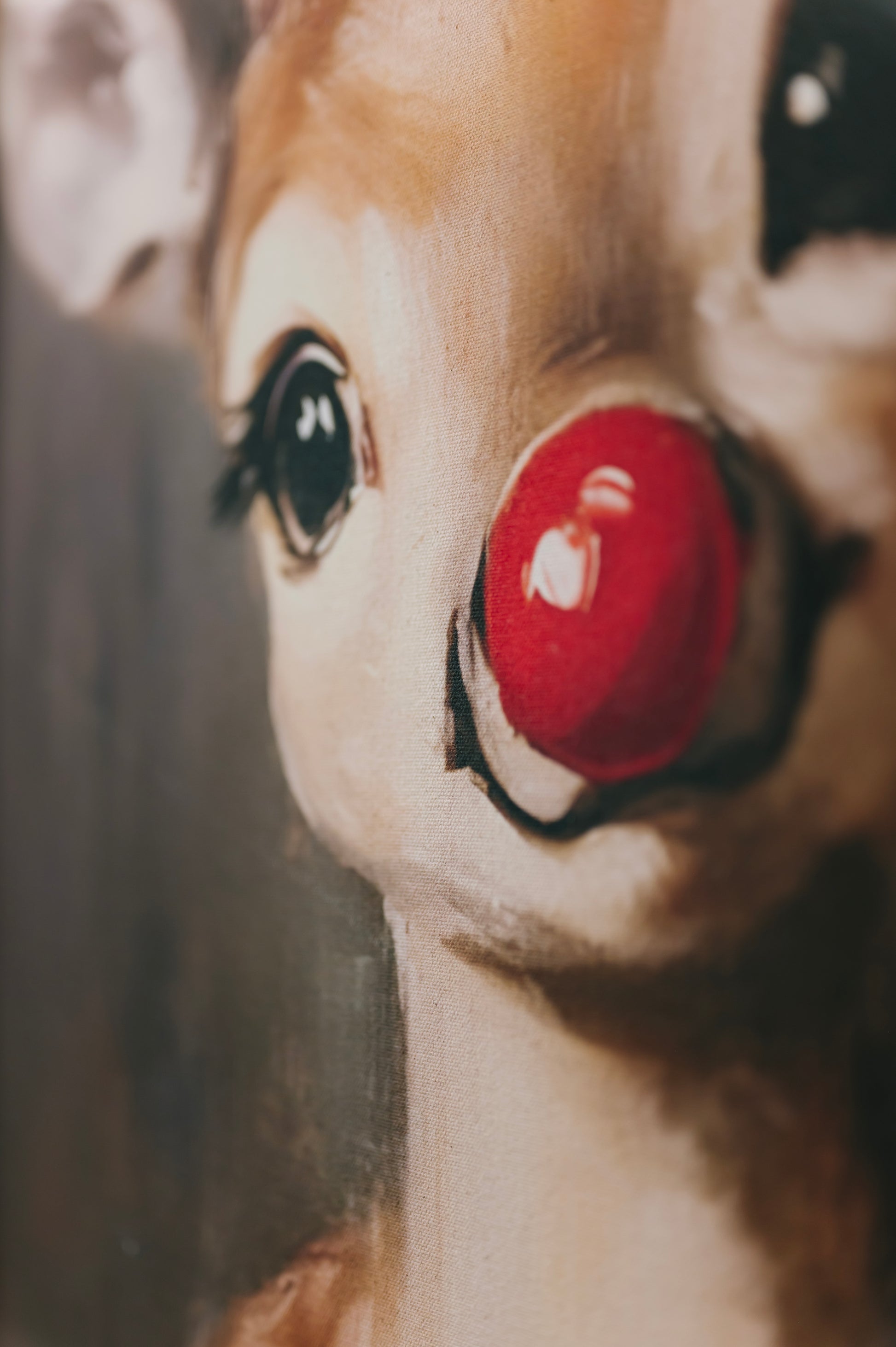 24" x 36" Rudolph Canvas Framed Print